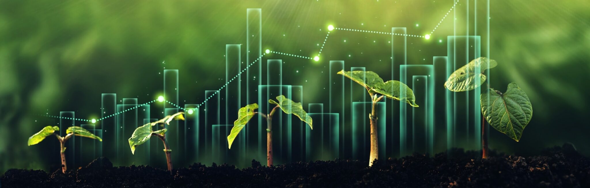 Efficienza energetica: taglia i costi con l’energy management